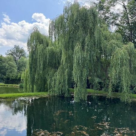 Restauracja I Noclegi Izba Rybacka W Krainie Wygaslych Wulkanow Podgorki 外观 照片