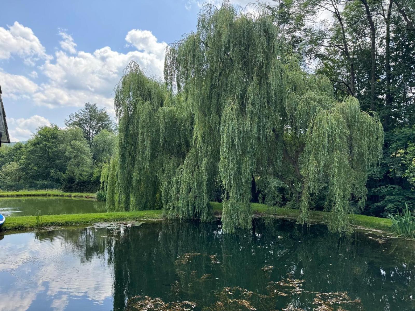 Restauracja I Noclegi Izba Rybacka W Krainie Wygaslych Wulkanow Podgorki 外观 照片